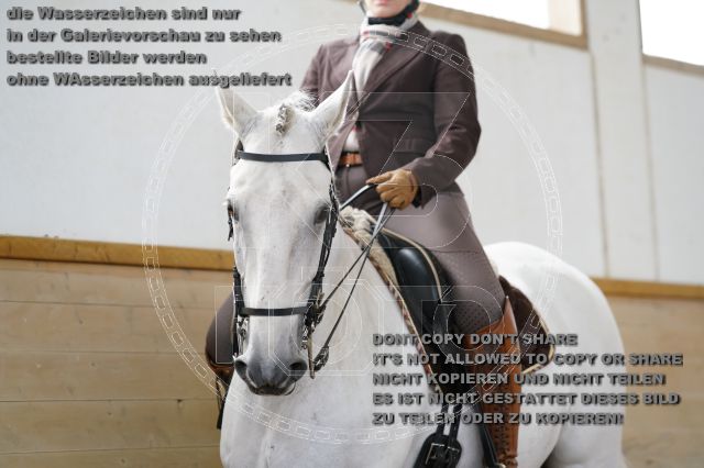 s_K3F01588.JPG
